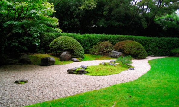 Sea Creature made of rocks in Zen Garden