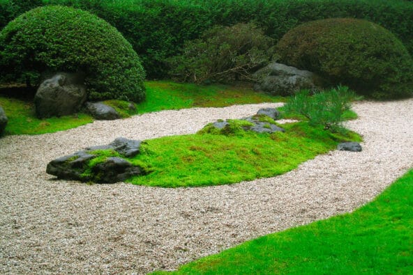 Sea Creature made of rocks in Zen Garden zoom