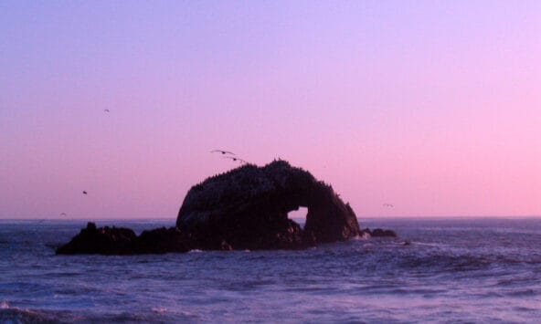 Seal Rocks formation with Heart shape
