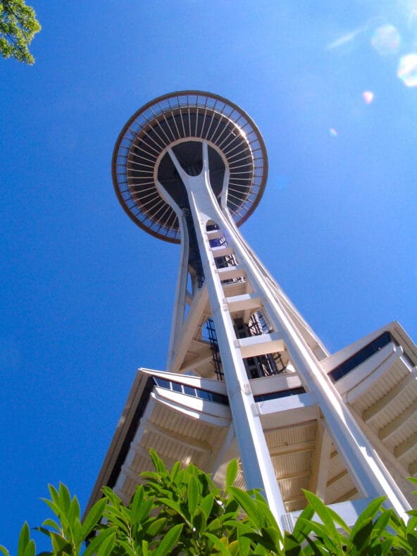 Space Needle towering above (from below)