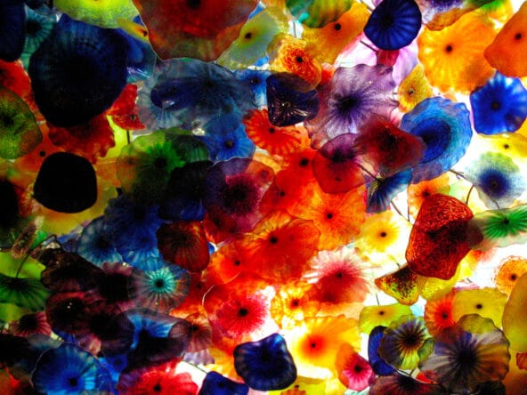 Stained Glass flowers on the ceiling zoom