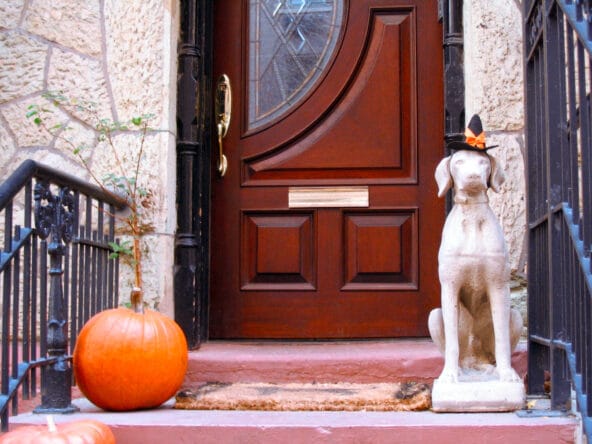 Stone Dog with Halloween Hat