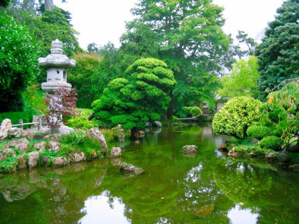 Stream thru Japanese Garden