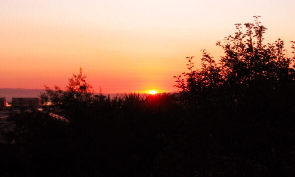 Sunrise above San Francisco trees