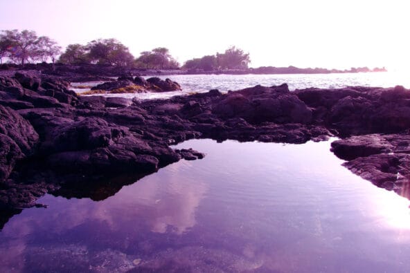 Tide Pool at Makalawena Beach