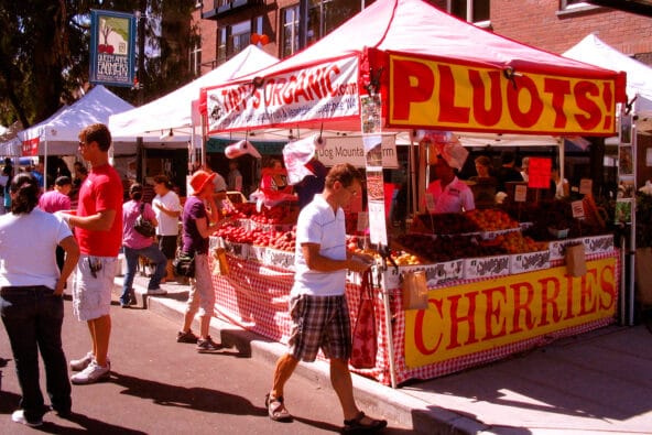 Tiny's Organic Pluot n Cherry stand