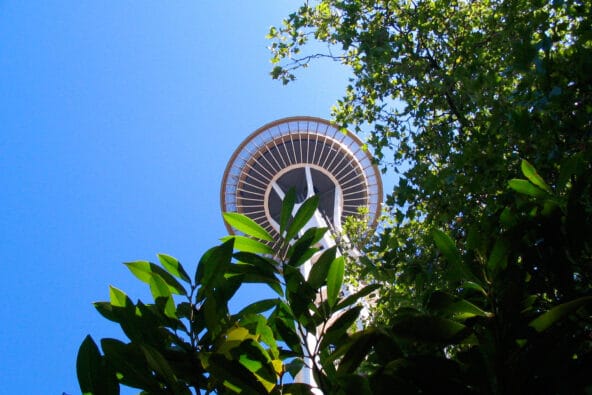 Top of Space Needle above green leaves