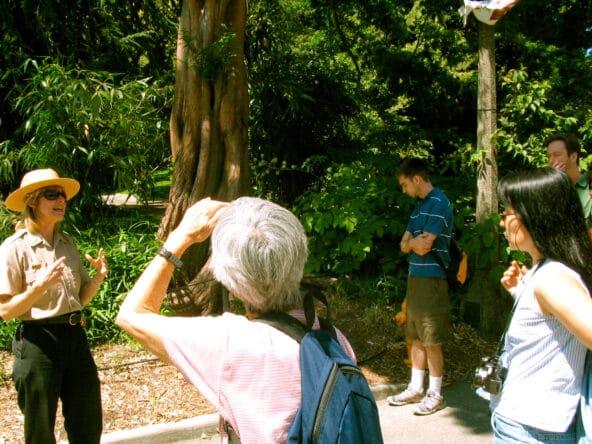 Tour guide explaining rare donated tree