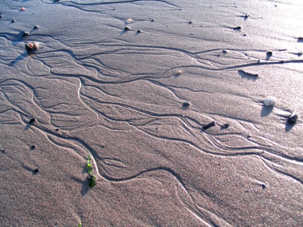 Wavy Erosion Patterns in the Sand