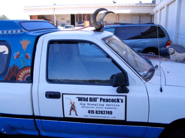Wild Bill's Dog Wrangling Service truck
