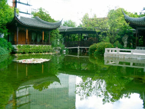 Zither Lake reflecting green leaves