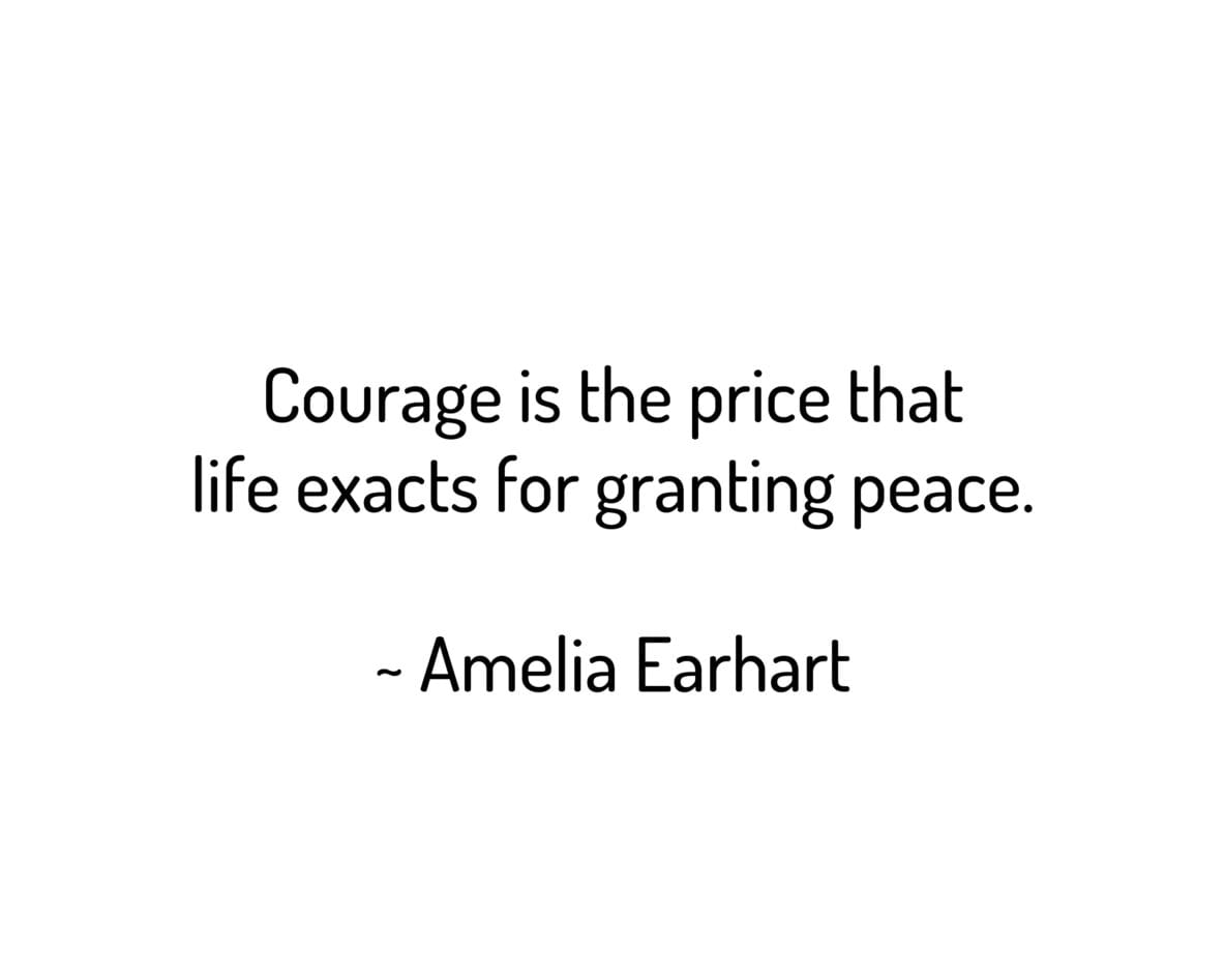 Courage is the price that life exacts for granting peace.
~ Amelia Earhart