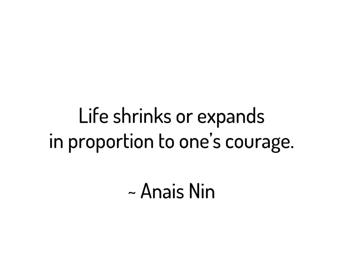 Life shrinks or expands in proportion to one's courage.
~ Anais Nin