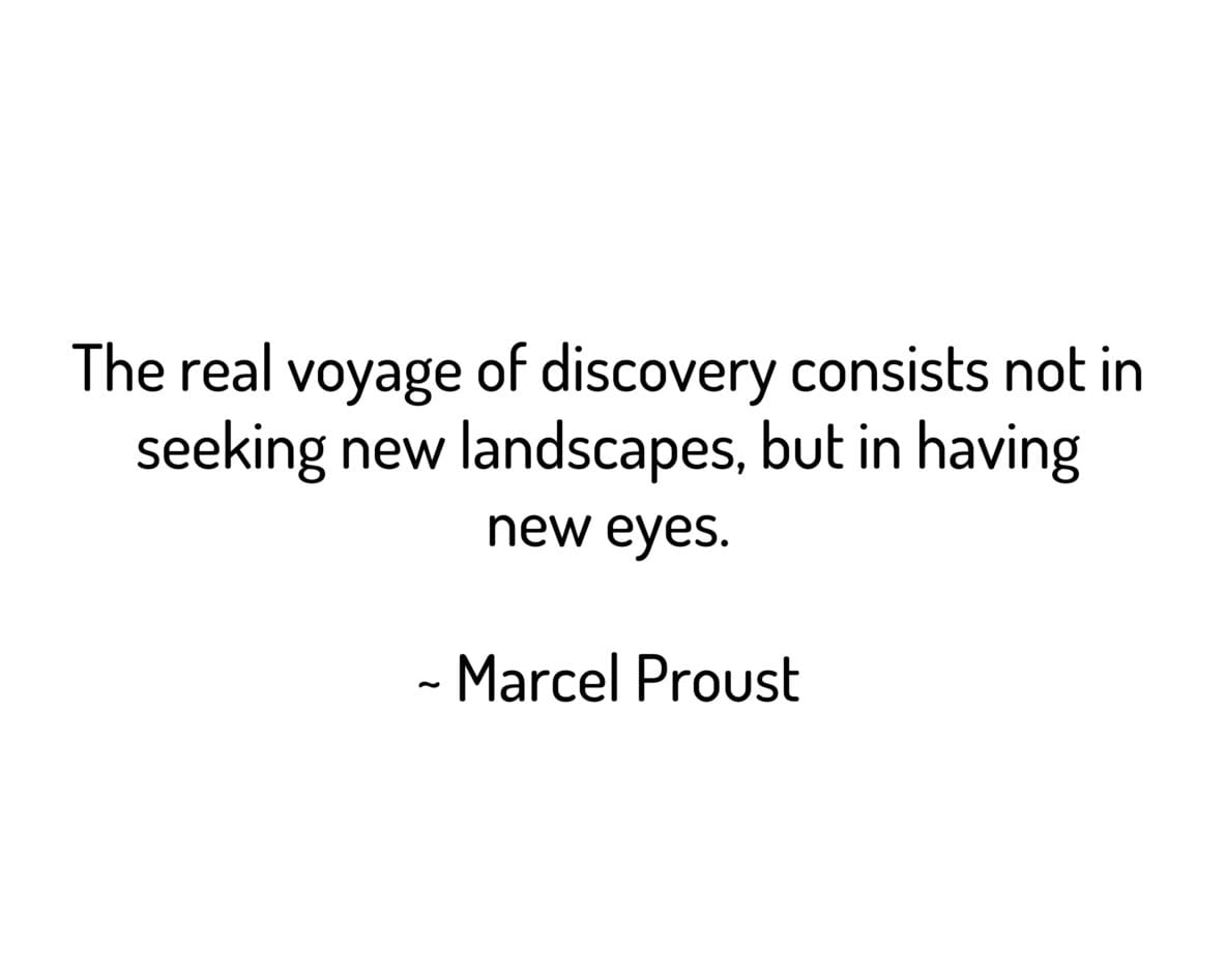 The real voyage of discovery consists not in seeking new landscapes, but in having new eyes.
~ Marcel Proust
