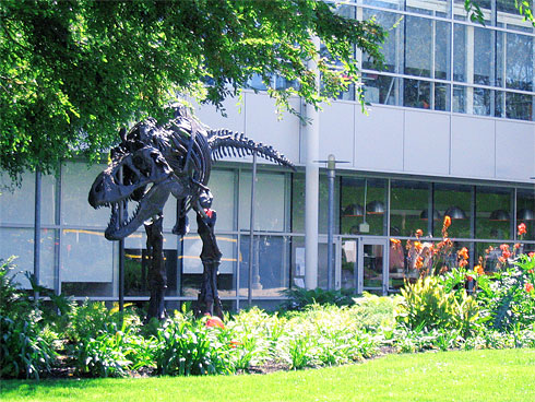T-Rex skeleton on Google Campus (front)