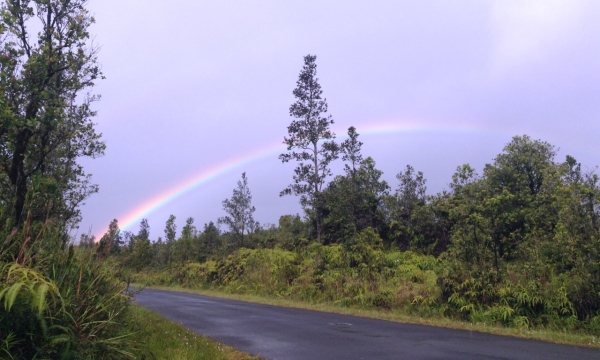 Hawaii Rainbow over the jungle