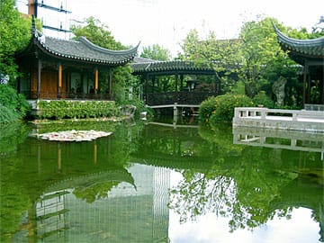 Zither Lake reflecting green leaves