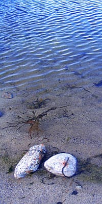 Crystal-clear Big Sur River