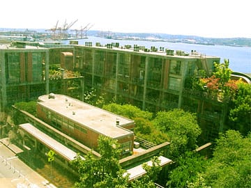 Converted Apartment complex covered in Trees and Shrubs