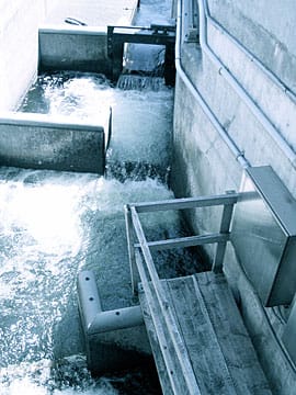 Water rushing over Salmon Ladder from above