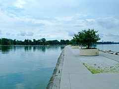 Row of Trees on Concrete Pier