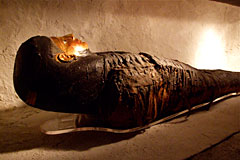 Mummy with Gilt Face
