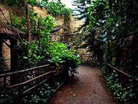 Aviary Path