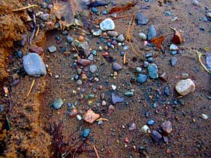 The Rainbow Rocks